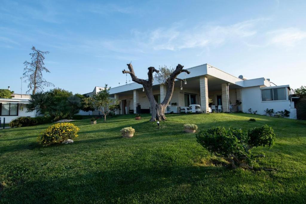 Villa Dalesco Leverano Zewnętrze zdjęcie